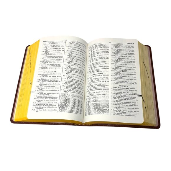 Vintage 1992 Saint Joseph Edition of the New American Bible Brown Soft Cover - Picture 9 of 14